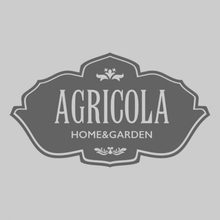 Aromatiche, mille usi e mille profumi e sapori